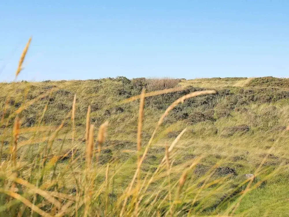 Holiday Home in Hirtshals