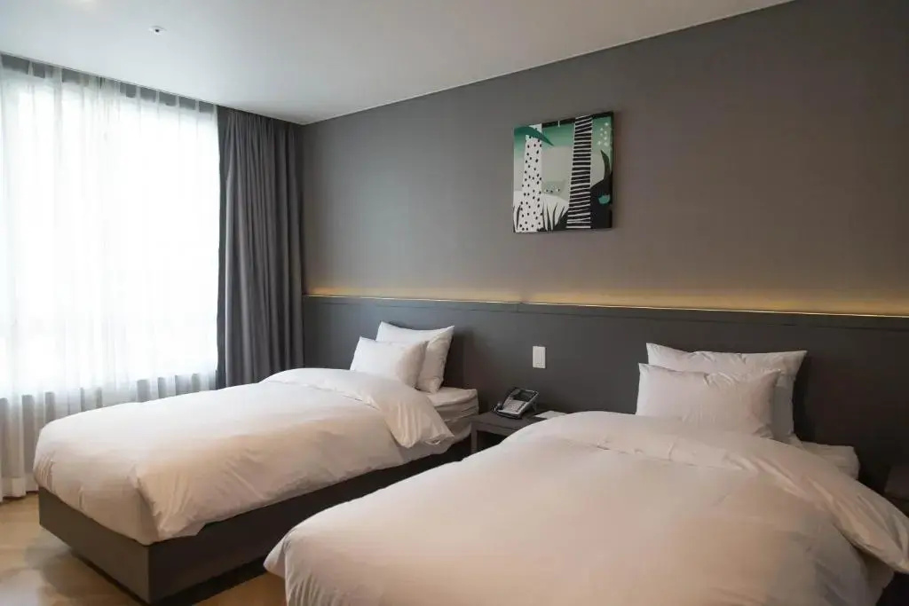 Economy Double room (twin beds)