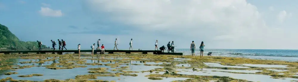 Beach & Waterfront