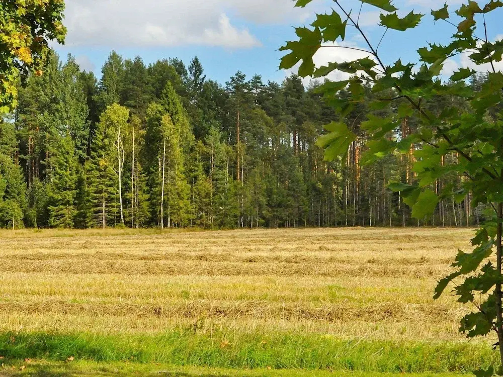 5 Person Holiday Home in Årjäng