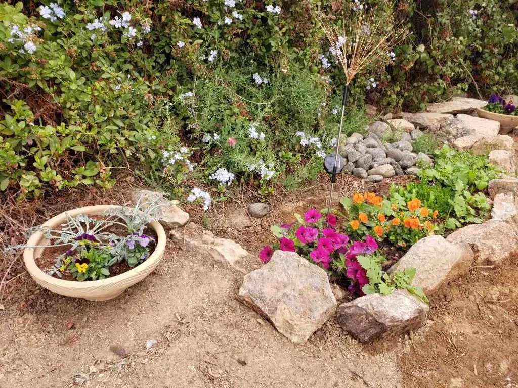 Moonlight Suite Arad צימר אור הירח, ערד