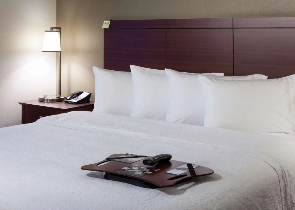 Hampton Inn & Suites Boise-Downtown - Chambres