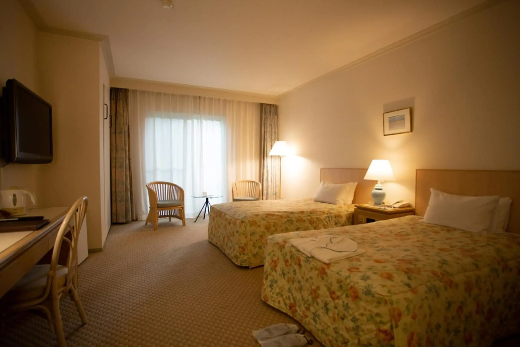 Kyu Karuizawa Hotel Otowa No Mori - Général