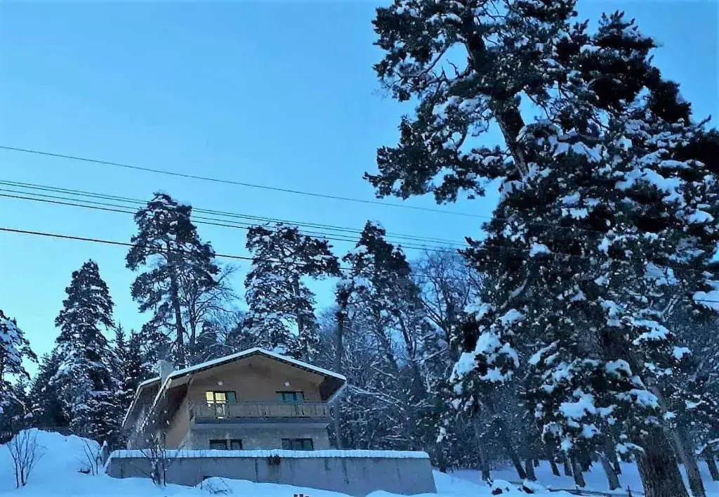 Villa B Barleon-Bakuriani