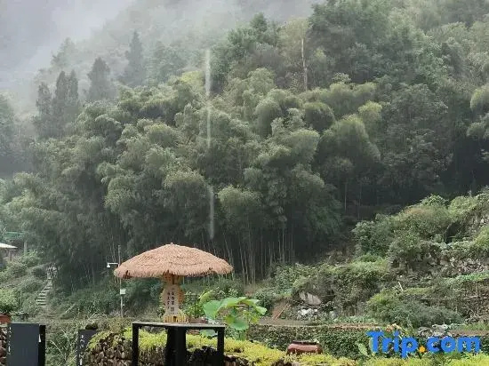 Liangyu Guesthouse (Tonglu Shishe Village)