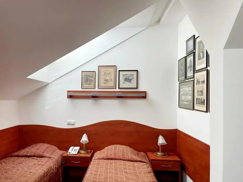 Standard Double Attic room (twin beds)