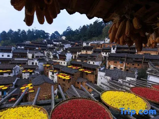 Wuyuan · Tranquil Time: Day Coffee & Night Wine Vacation Guesthouse (Huangling Scenic Area Branch)