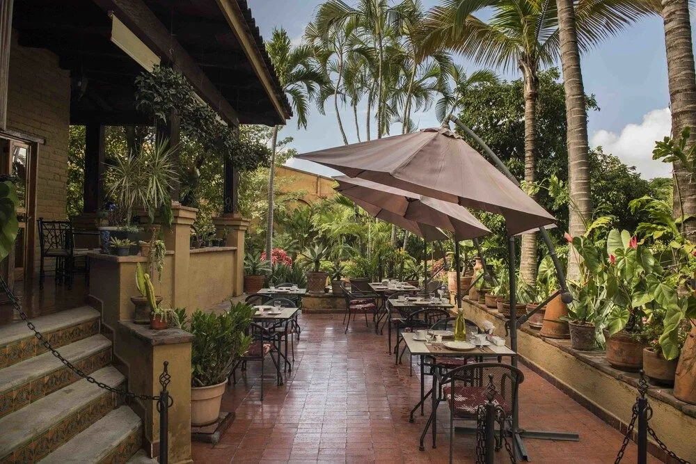 Orchidelirium Casa Hotel & Salud Estetica - Général