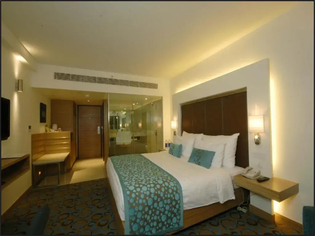 Pride Plaza Hotel, Ahmedabad - Chambres