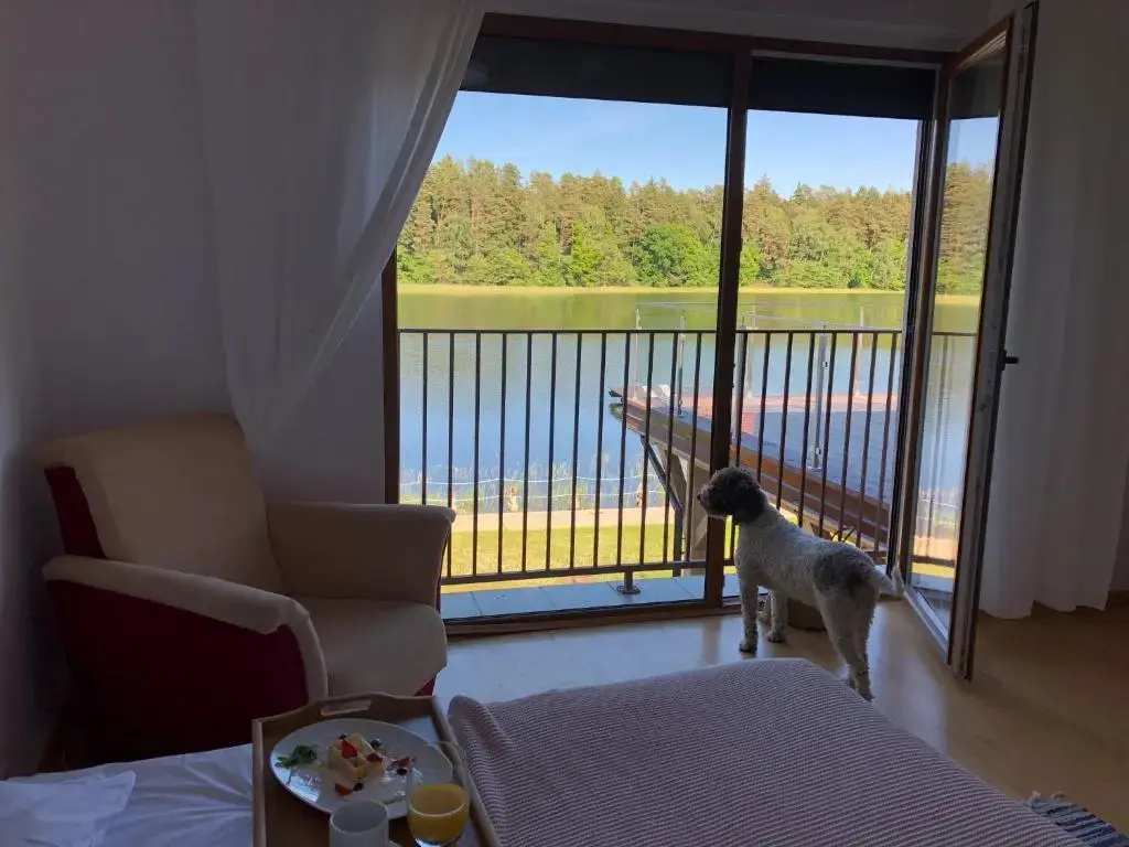 Duplex Apartment