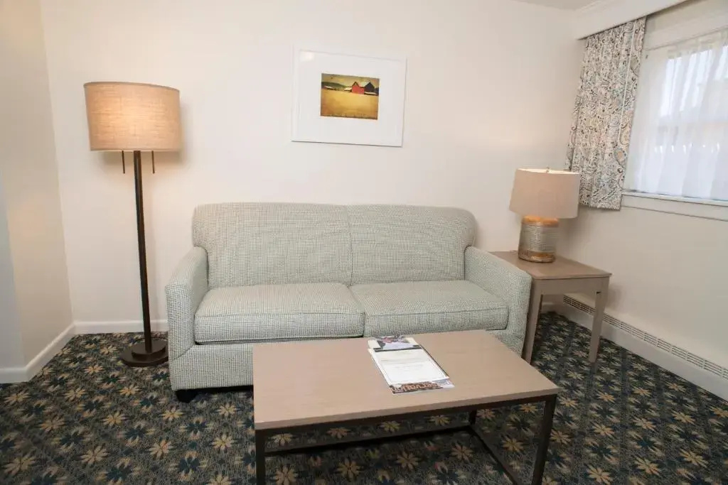Deluxe Double room (full double bed)