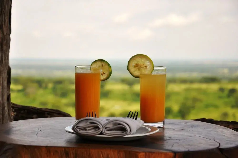 Kyambura Game Lodge - Général