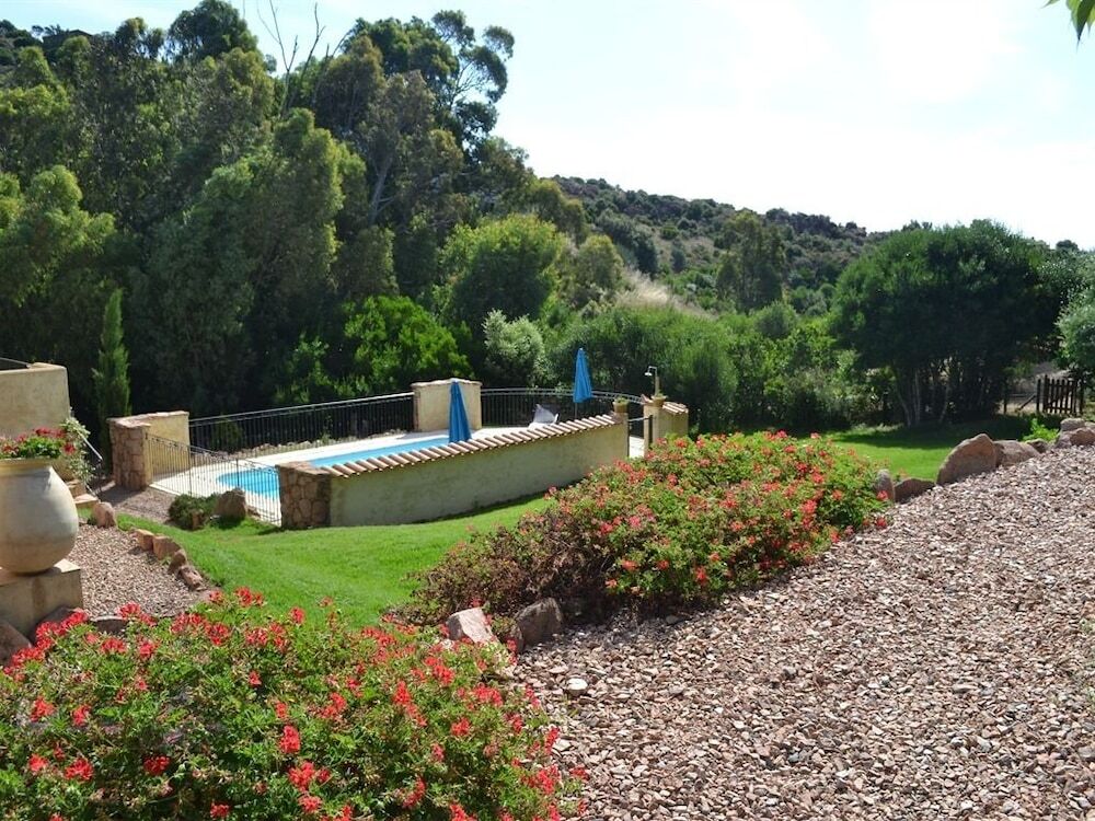 Image 14