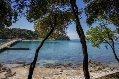 Beach & Waterfront