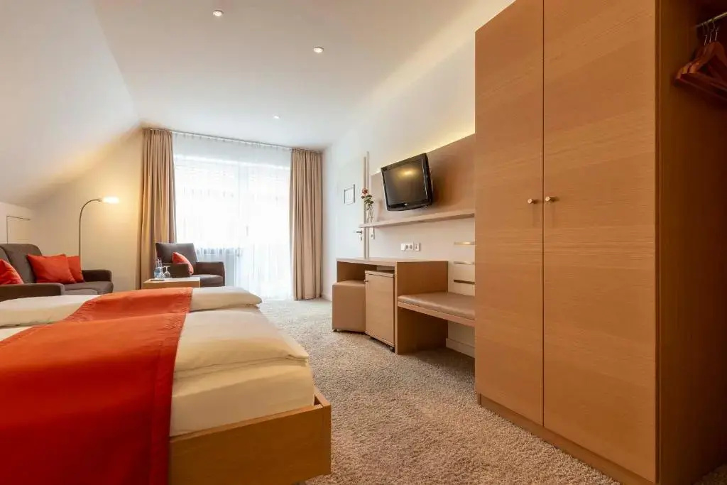 Standard Double room (full double bed)