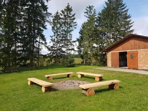 Wyspa Świerków