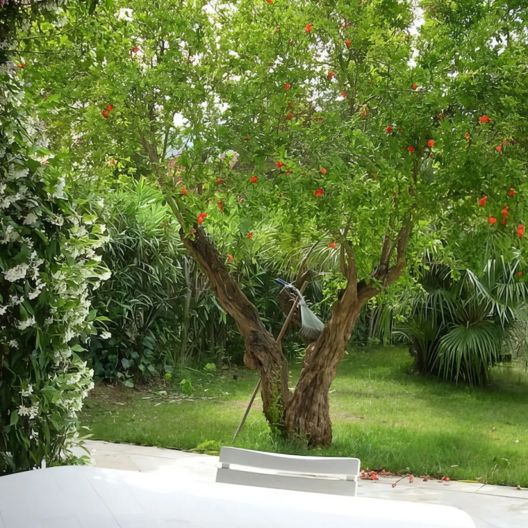 Welcomely - Natural Garden