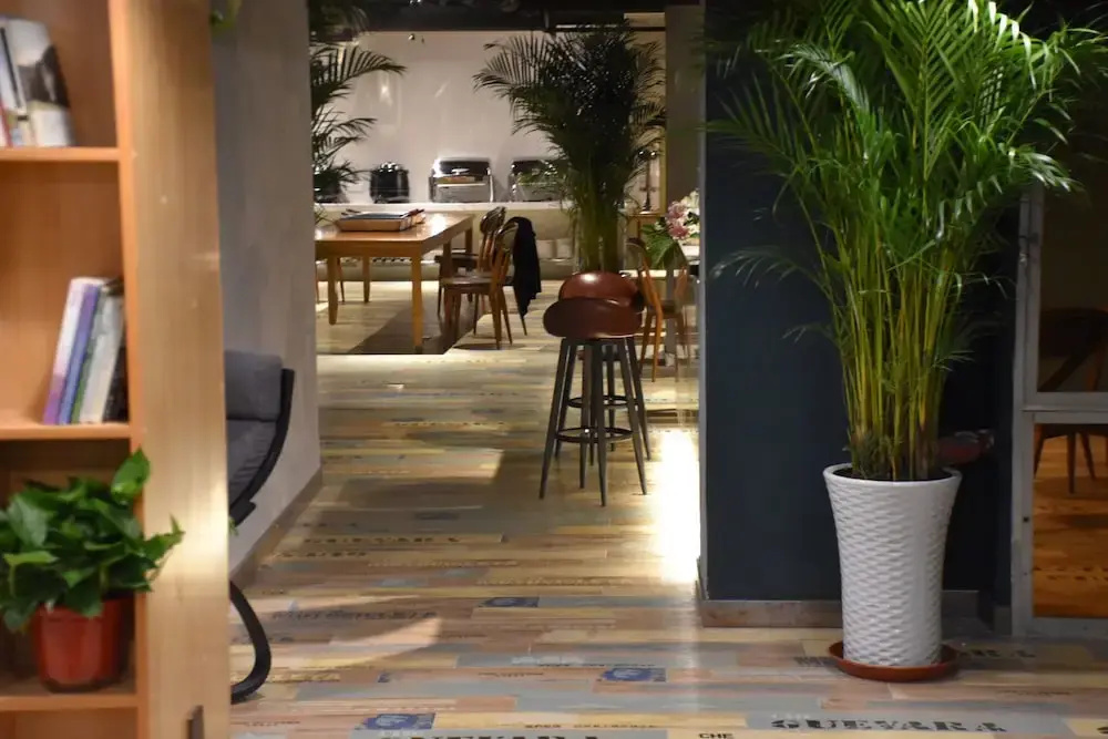 Hotel photo 14