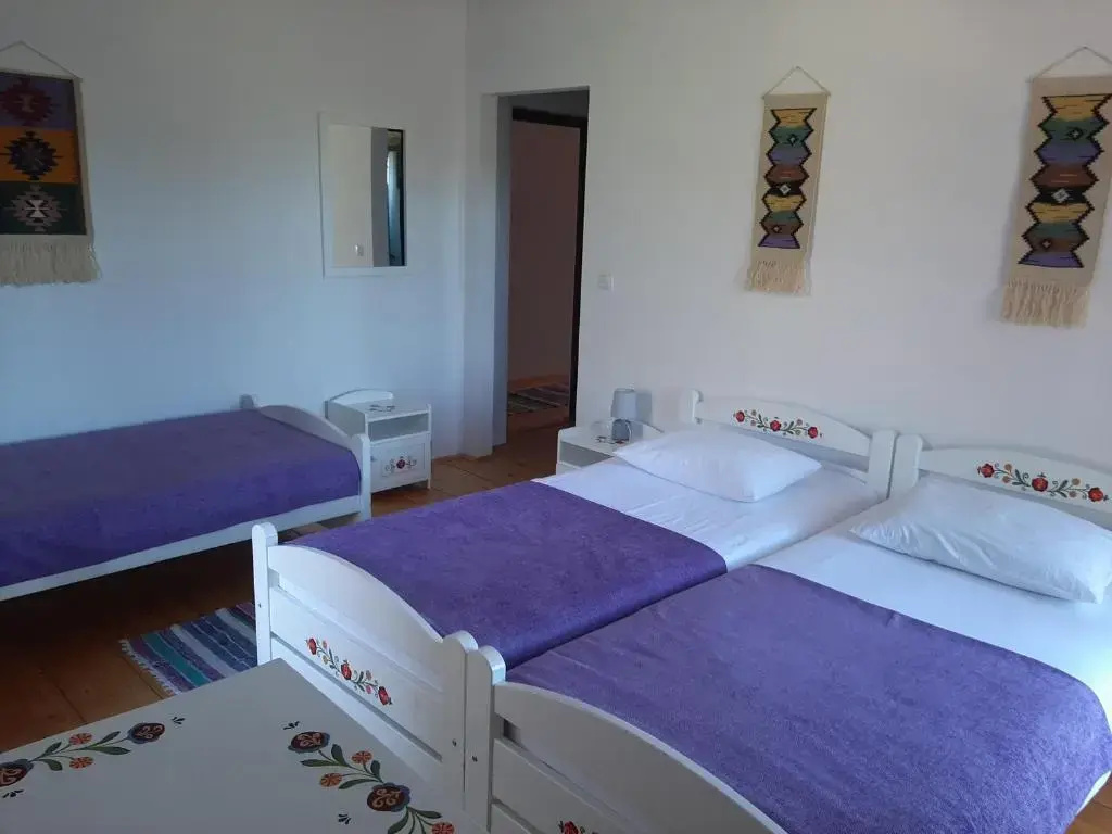 Pensiunea Marceluca - Chambres