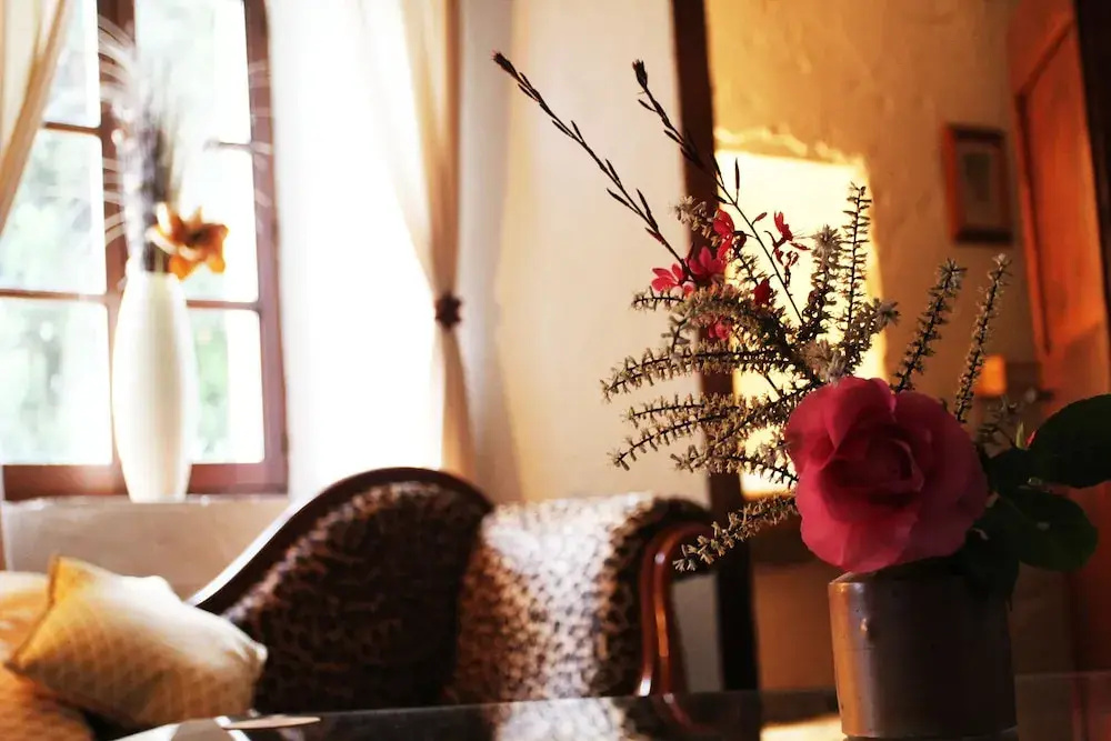 Voir la photo 2 — Domaine de Palatz