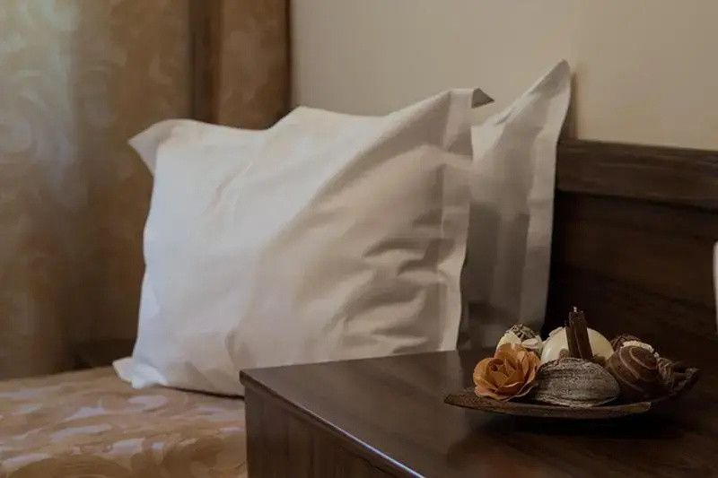 Standard Double room with mountain view (twin beds)