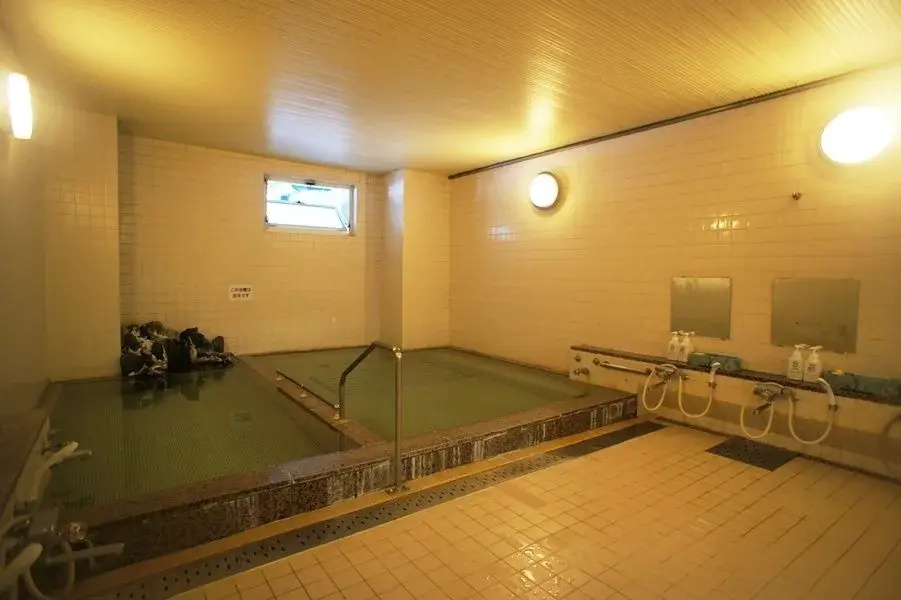 Hotel Chalet Yuzawa Ginsui - Général