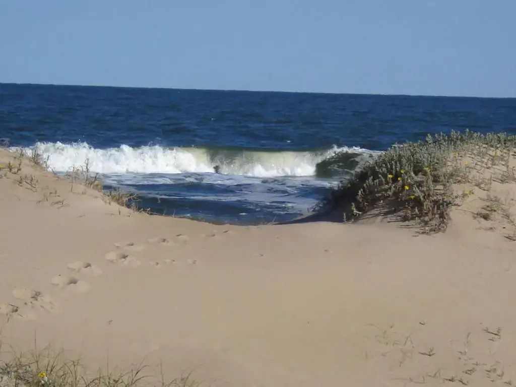 Beach & Waterfront