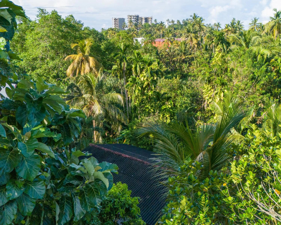 Sun & Tree HomeStay (With Green Nature View)