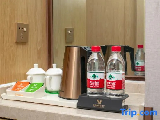 Vienna International Hotel Lhasa Potala Palace Branch - Chambres