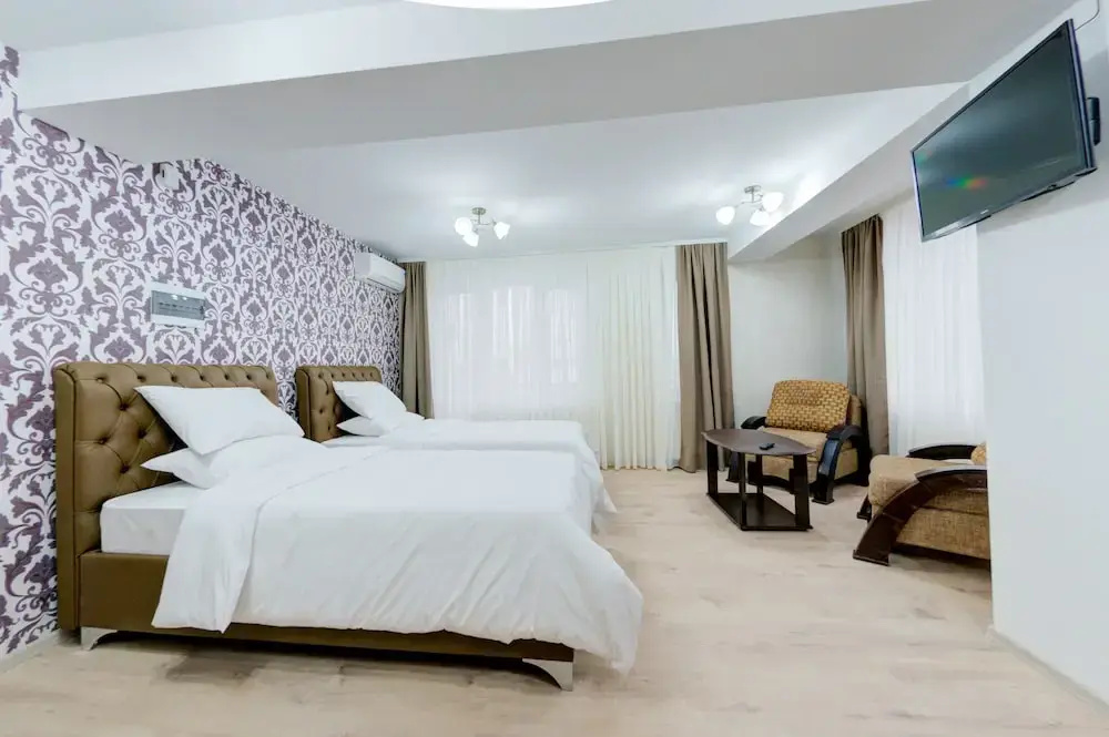 Standard Double room with city view (full double bed)