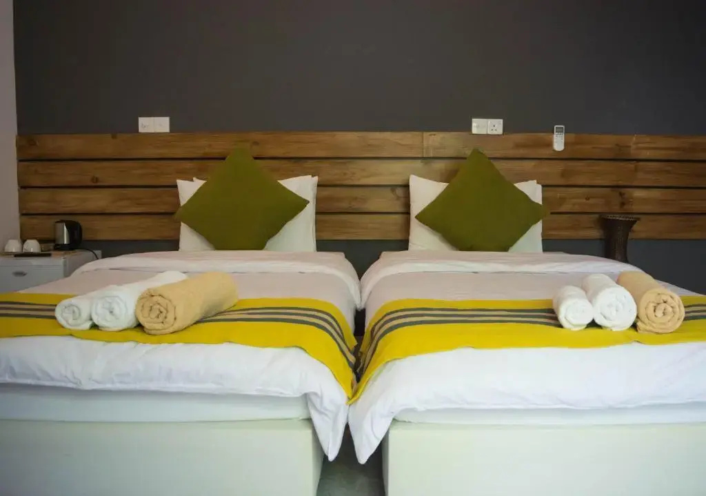 Deluxe Double room (twin beds)