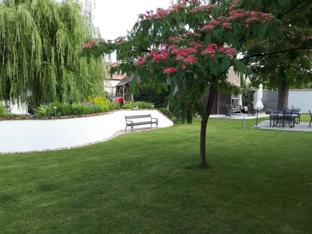 Pension Joseph Haydn - Chambres