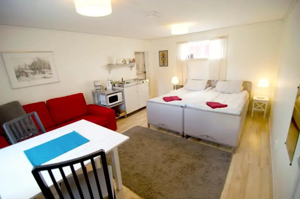 Standard Double room (full double bed)