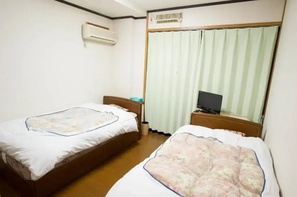 Standard Double room (twin beds)