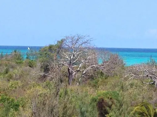 Beach & Waterfront