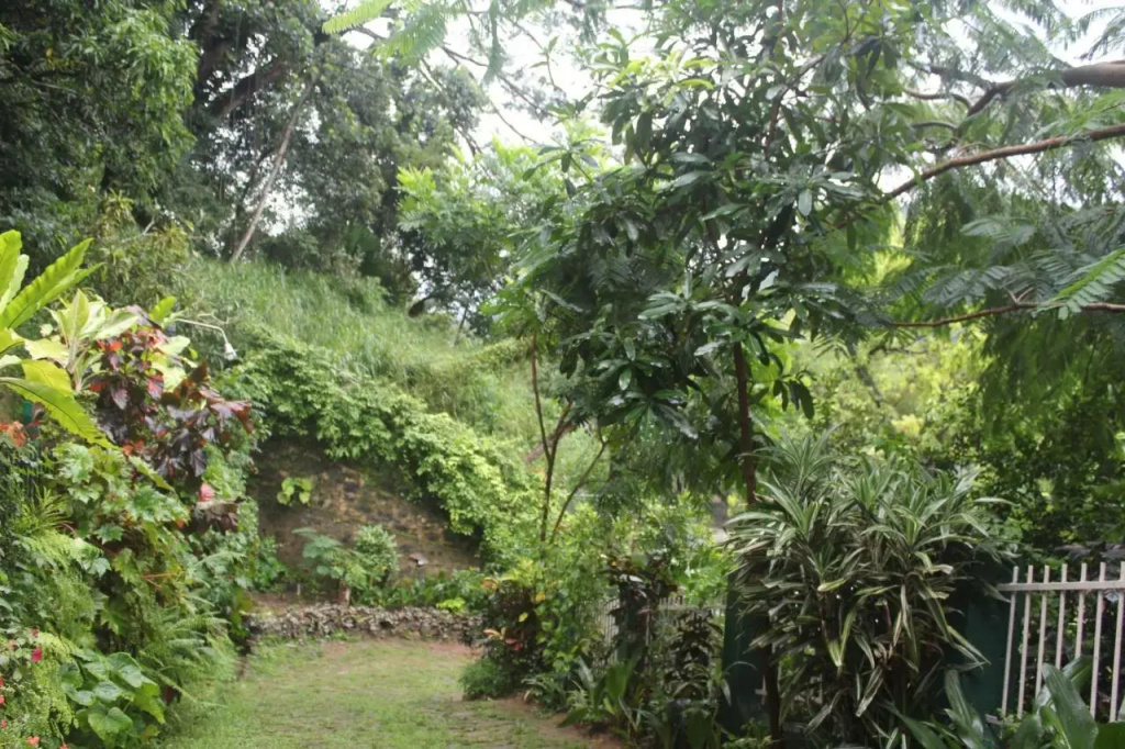 Hotel photo 33