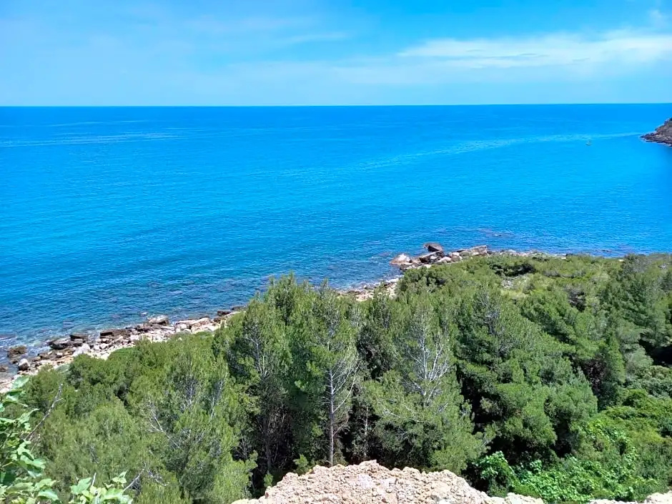Beach & Waterfront