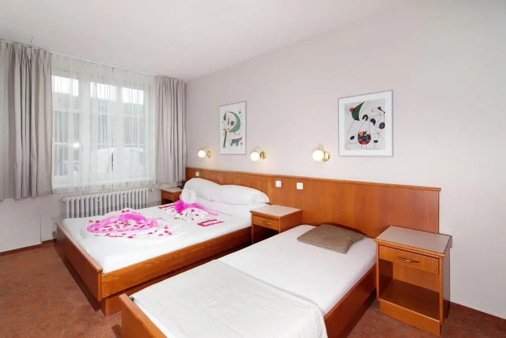 Hotel Sněžka - Chambres