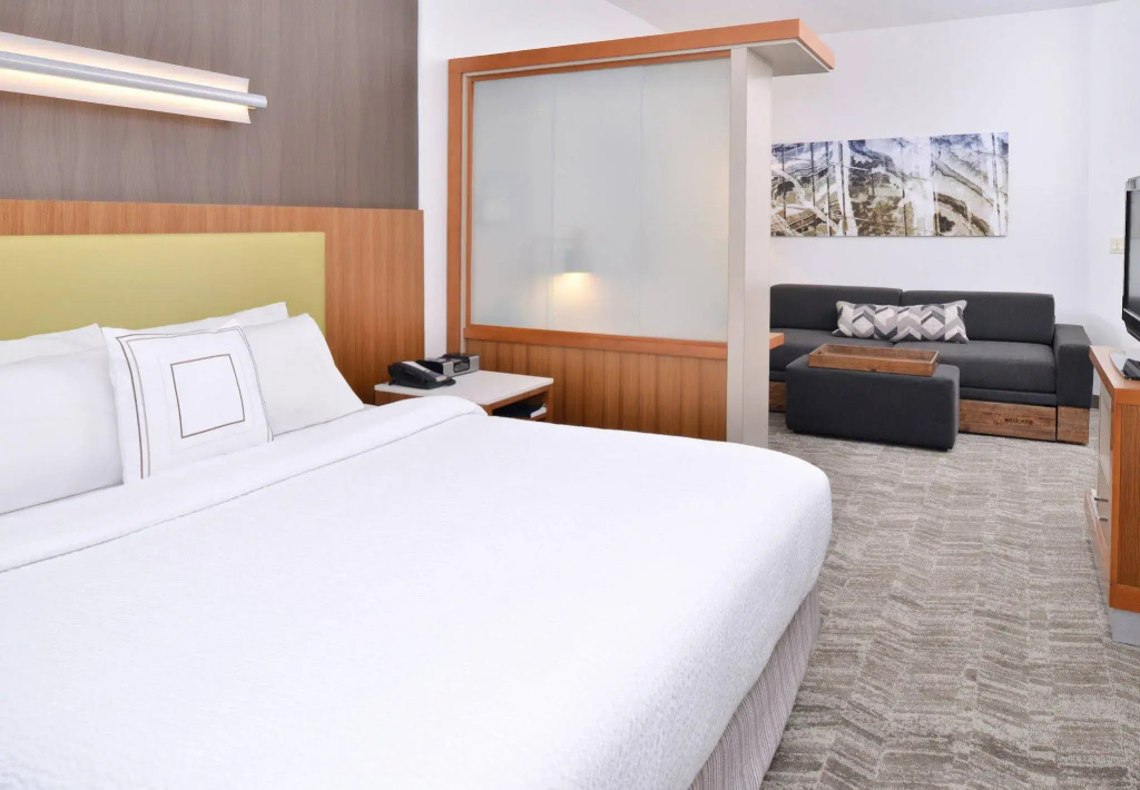 SpringHill Suites by Marriott Ashburn Dulles North - Général