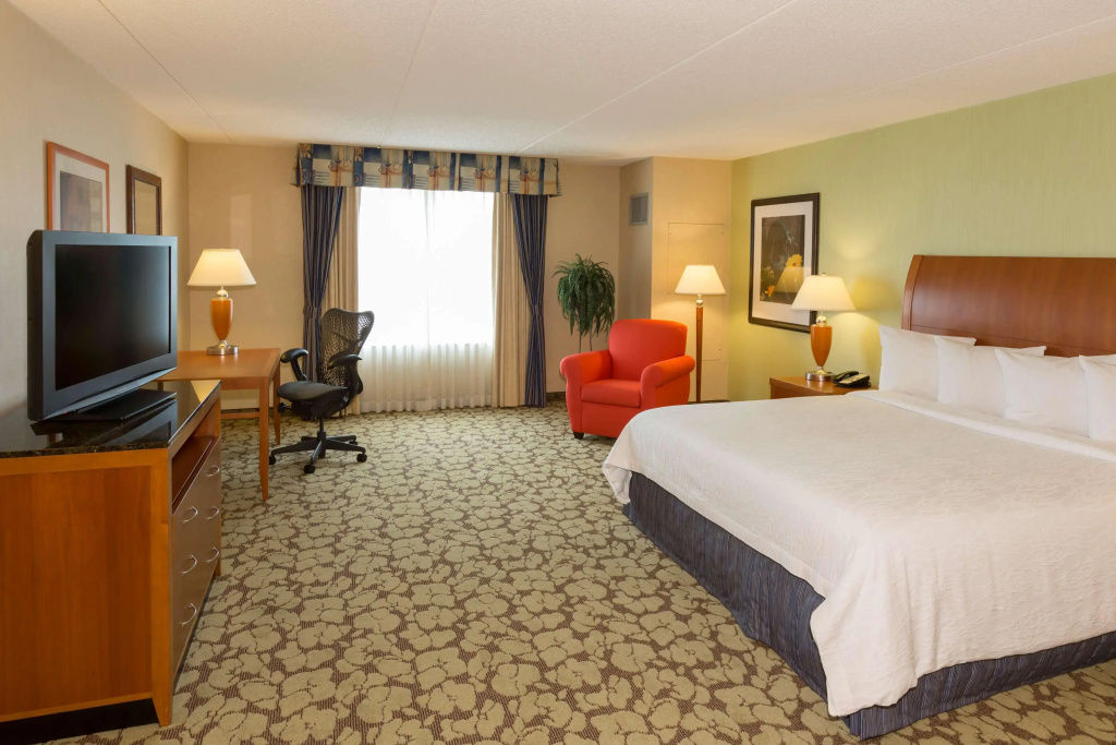 Hilton Garden Inn Buffalo Airport - Général