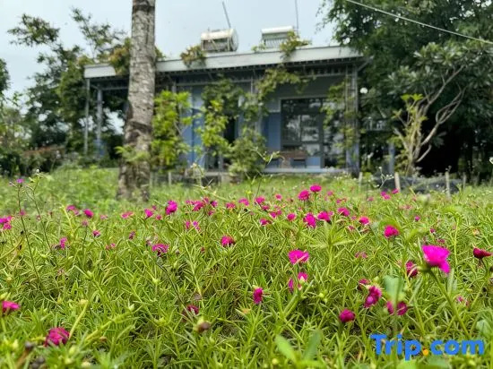 MyGarden Villa Binh Chau Hotspring