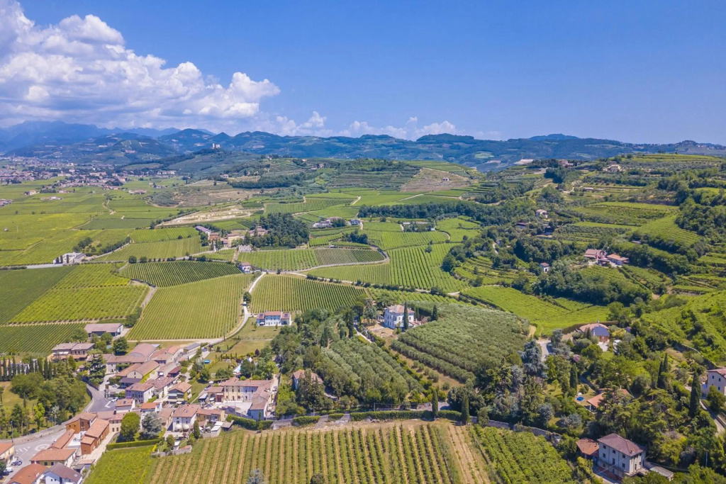 Villa Faccioli Oleandro With Shared Pool