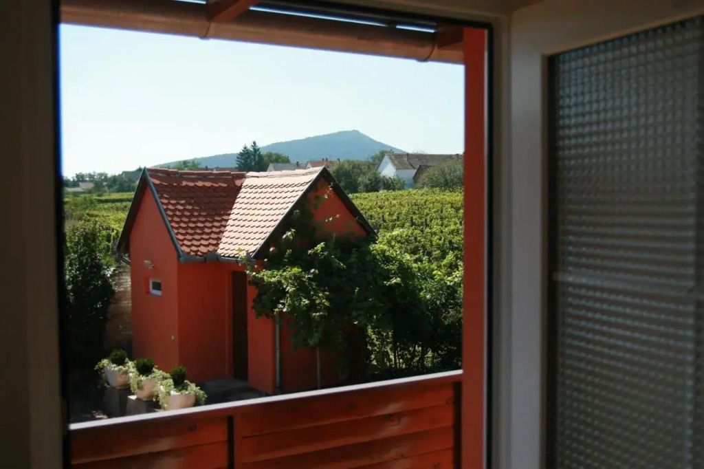 Ottó Panzió Villány - фото 22