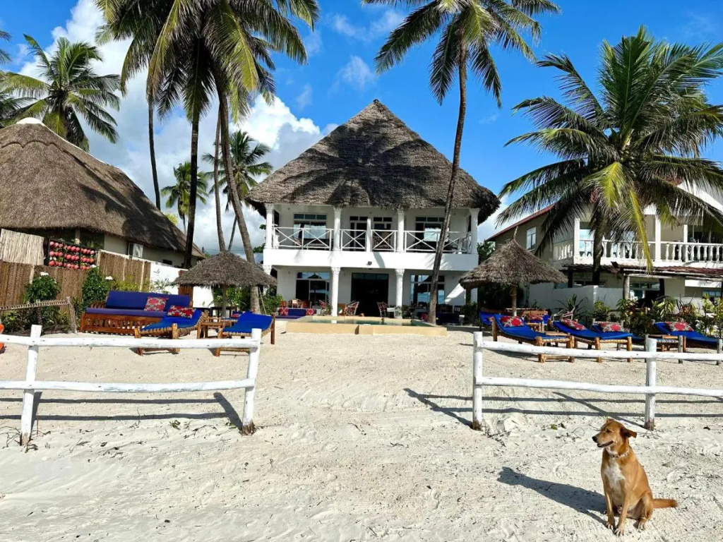 African Paradise Beach Hotel - Général