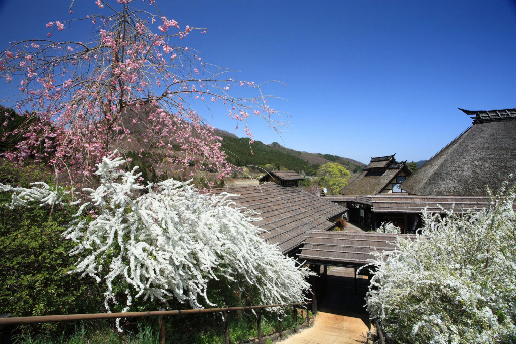 Kayabukinosato Yakushionsen Hatago - Général