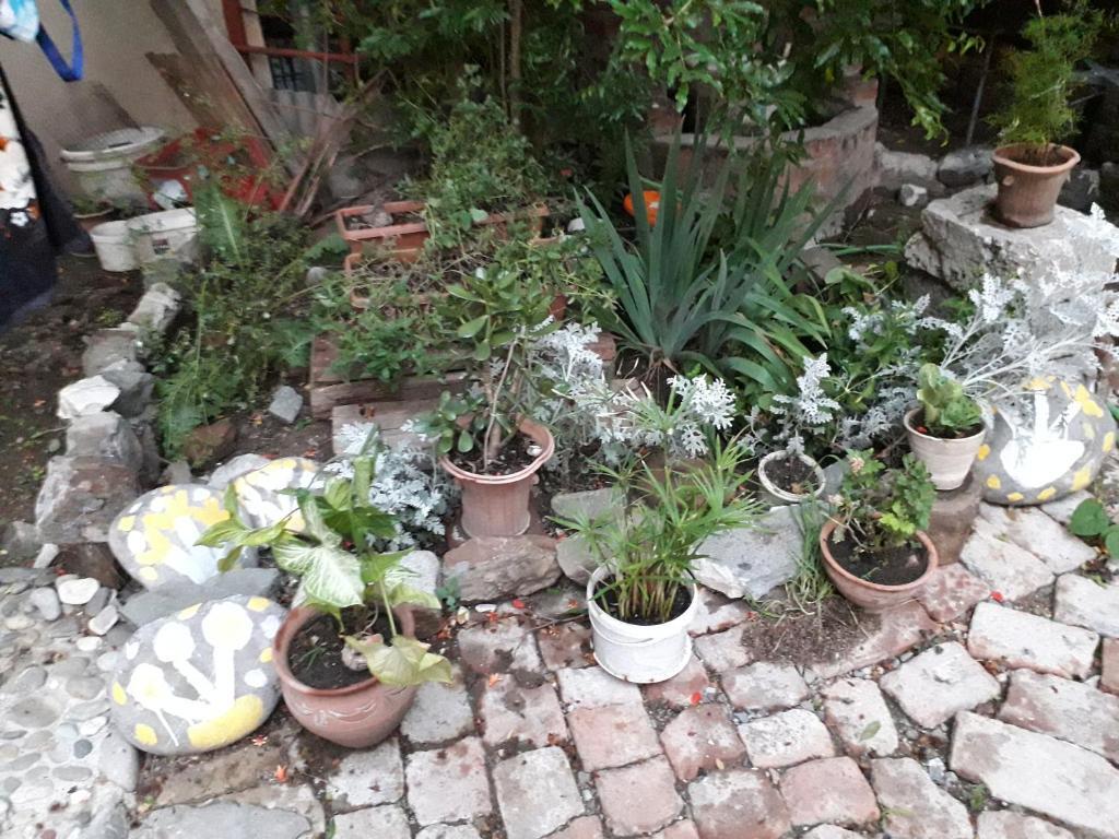 Image 8