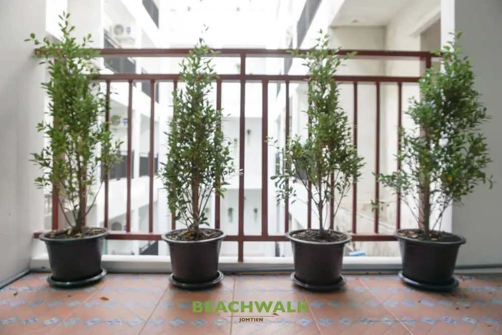 Beachwalk Jomtien - Chambres