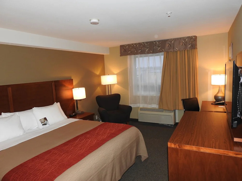 Double Suite (full double bed)