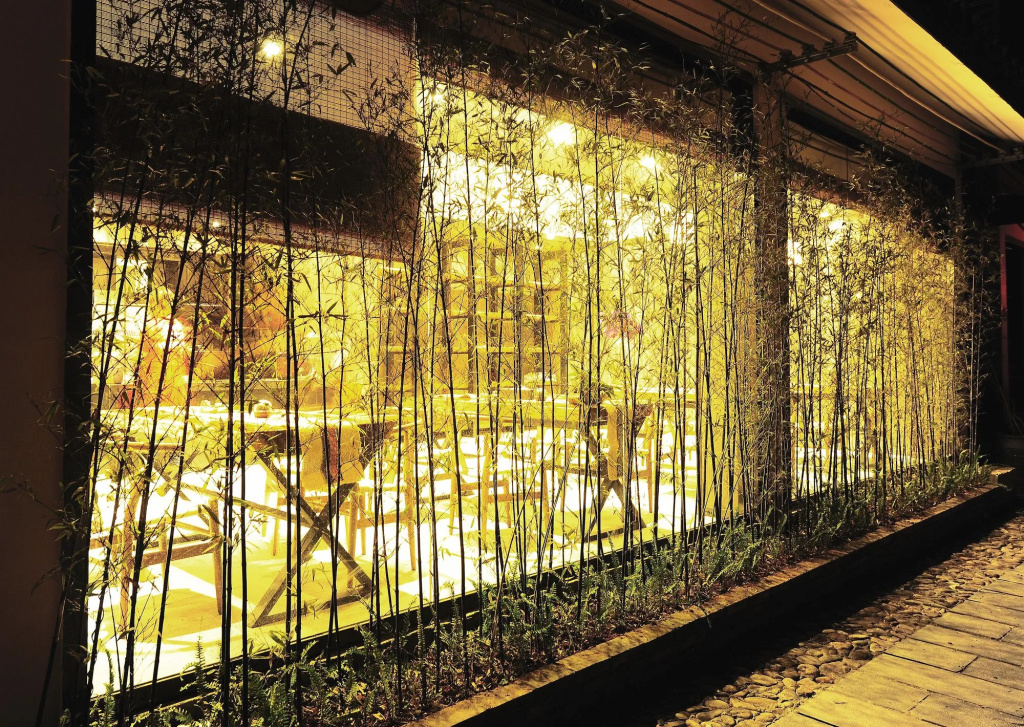 Peach Blossom Resort Hotel - Général