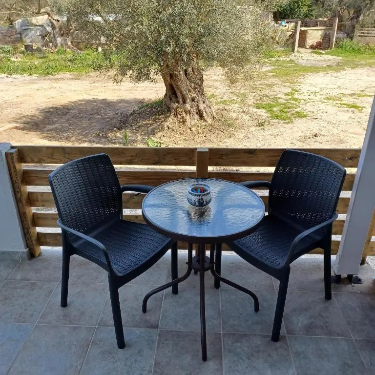 Eleonas Apartment 1, Lygia